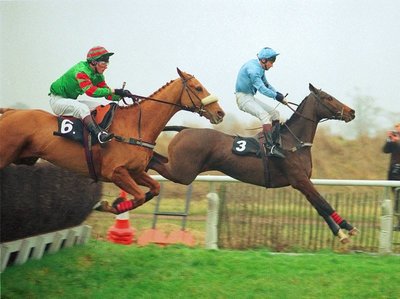 carvill's_hill_goldcup92.jpg