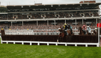 Cheltenham-fence-action-stand-behind-1280.956x553.gif