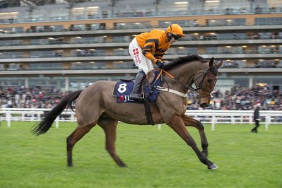 Thistlecrack_CheltenhamFestival.jpg