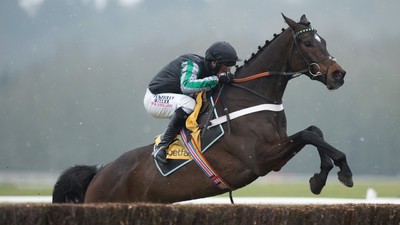 altior_nickyhenderson_kinggeorge.jpeg