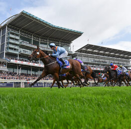 Best Bets For York Ebor Handicap
