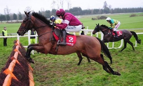 Alpha Des Obeaux at Gowran Park last time out a.jpg