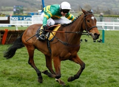 defiduseuil_championchase_cheltenhamfestival2020.jpg