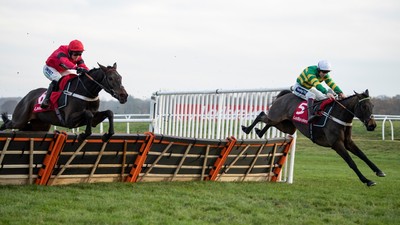 epatante_championhurdle_cheltenhamfestival2020.jpeg