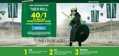 Paddy_Power_Tiger_Roll_Cheltenham_Festival_Betting_Offer.jpg