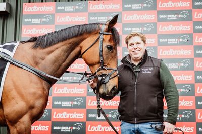 thenewlion_cheltenham2026antepost.jpeg