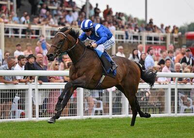 alyanaabi_bestbets_haydock.jpg
