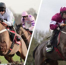 Constitution Hill and Brighterdaysahead Set For Epic Champion Hurdle Showdown