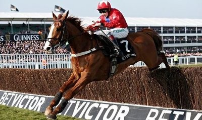 2014 Champion Chaser Sire De Grugy is looking to continue his return to form in The Tingle Creek.jpg