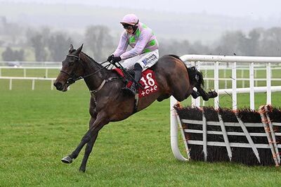 saintelucie_darkhorses_cheltenhamfestival2025.jpg