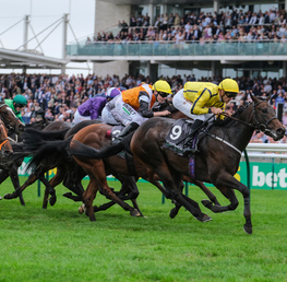 Best Bets For The Bet365 Cambridgeshire Handicap