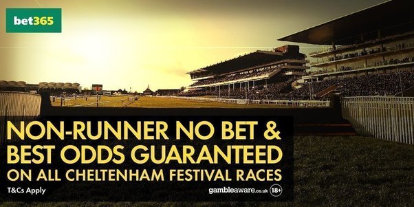 Bet365 Non Runner No Bet & Best Odds Guaranteed on all Cheltenham Festival Races.jpg