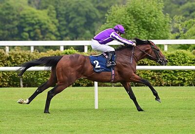 delacroix_epsomderby_bestbets.jpg