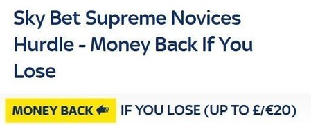 Sky_Bet_Supreme_Novices_Hurdle_Money_Back_Lose_.jpg