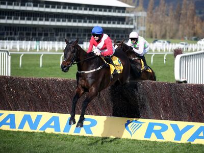 alaho_cheltenhamfestival2022.jpg