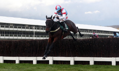 rougevif_tinglecreek2020.jpg