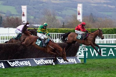 grandannual-bestbets-cheltenhamfestival2025.jpg