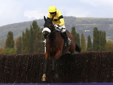 Fox Norton has been prolific at Cheltenham this season but needs to improve for this year’s Champion Chase..jpg