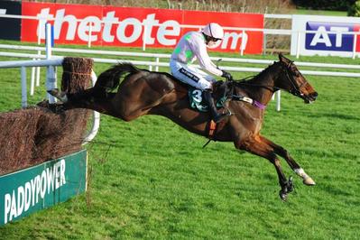 douvan_leopardstown.jpg