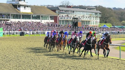 lingfield_allweatherchampionships.jpeg