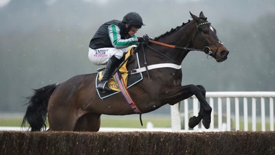 altior_championchase_cheltenham.jpeg