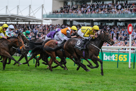 Best Bets For The Bet365 Cambridgeshire Handicap