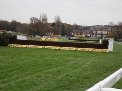 sandown_tinglecreek.jpg