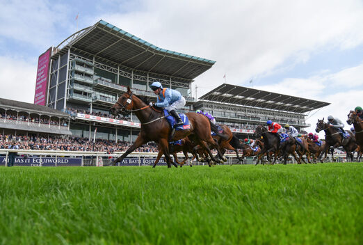 Best Bets For York Ebor Handicap