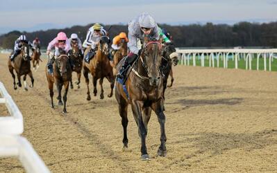 nightraider_betfredtemplestakes_haydock.jpg