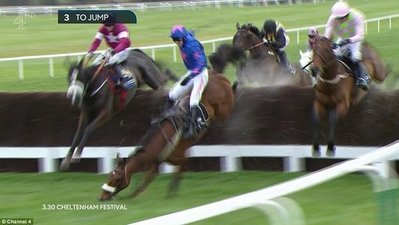 Cue Card meets disaster at the third last in the 2016 Cheltenham Gold Cup, whilst challenging eventual winner Don Cossack (left)..jpg