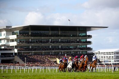 jump racing_cheltenhamraces.jpg