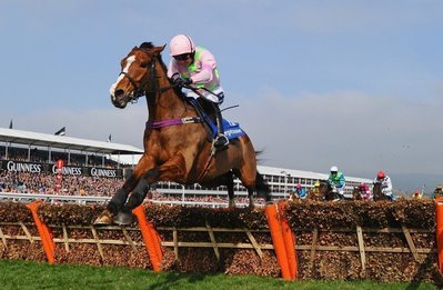 faugheen.jpg