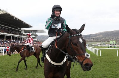 altior_tinglecreek2020.jpg