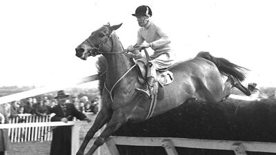 arkle_cheltenhamfestival2021_cheltenhamgoldcup.jpg