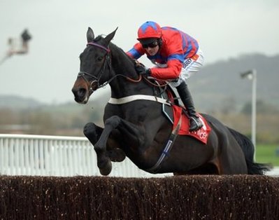 Sprinter Sacre is set for another all-conquering season.jpg