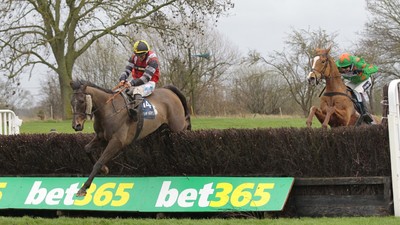 bet365_goldcup_sandown.jpeg