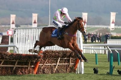 Faugheen is back on track to try and regain his hurdling crown..jpg