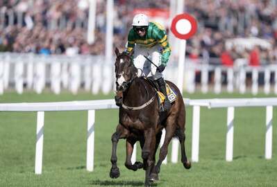 majborough_arkle_cheltenhamfestival2025.jpg