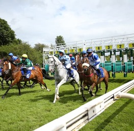 Best Bets For Ayr Gold Cup