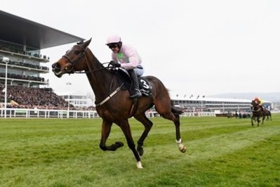 Hot favourite Douvan bounding away with last year’s Arkle at the 2016 Cheltenham Festival..jpg