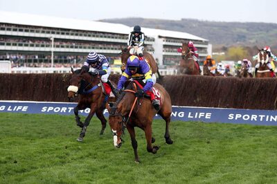 ultimahandicap-bestbets-cheltenhamfestival2025.jpg