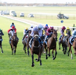 Best Bets For Club Godolphin Cesarewitch Handicap