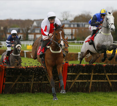 goshen_cheltenhamFestival2021_championhurdle.jpg