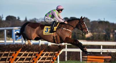 Faugheen_Ryanair_Hurdle.jpg