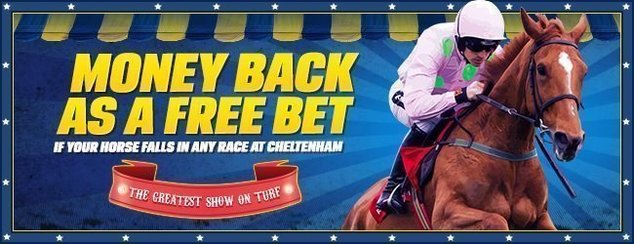 Money Back as a Free Bet if your Horse Falls.jpg