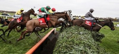 Vieux_Lion_Rouge_Betfred_Becher_Chase_Aintree.jpg