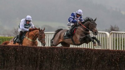 Frodon_CheltenhamFestival.jpeg